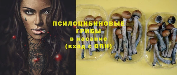 стафф Арсеньев