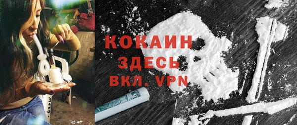 стафф Арсеньев