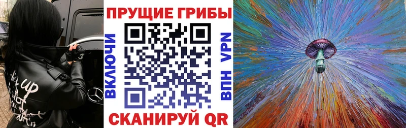 Галлюциногенные грибы Psilocybe  купить закладку  Фокино 